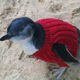 Illustration for article titled GUYS. PENGUINS. IN. SWEATERS. KNITTERS PAY ATTENTION.